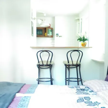 Apartament Pod Rozowa Swinka *